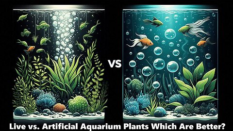 Live vs. Artificial Aquarium Plants Which Are Better?