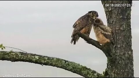 Mrs. Savannah and Owlbrey 🦉 4/18/22 07:22