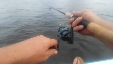 inshore trout fishing Hudson Florida