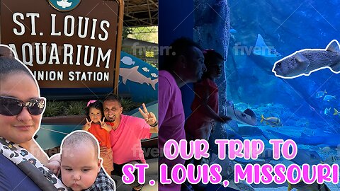 Join Armine and her family as they travel to St.Louis MO for her Dad soccer games!