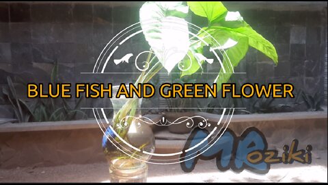 BLUE FISH AND GREEN LEAF