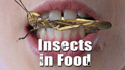 Disgusting – The 'Insects in Food' File | www.kla.tv/25964