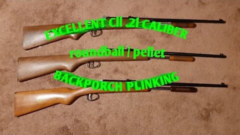 Excellent Cll .21 roundball/pellet multi pump *backporch plinking