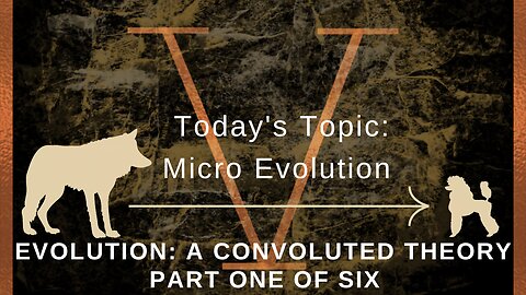 Evolution: A Convoluted Theory Part 1 - Micro Evolution