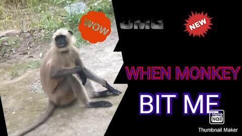 When a monkey try to bit me. # funny monkey 🐒🐒🐵🐵