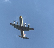 Planes fighting a forest fire