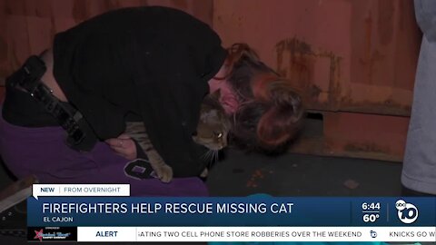 Missing cat rescued by firefighters, reunited with family