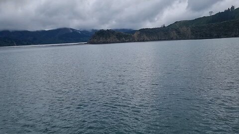 Port Underwood Top Of South Island NZ.