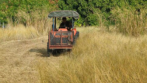 Urban Meadow Mowing 🇹🇼 (2022-12) {aerial}