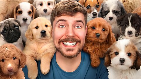 I Rescued 100 Abandoned Dogs!