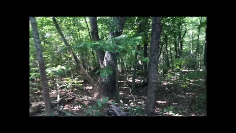 Forest Mulching Trail System Around Future Goat Grazing Paddock