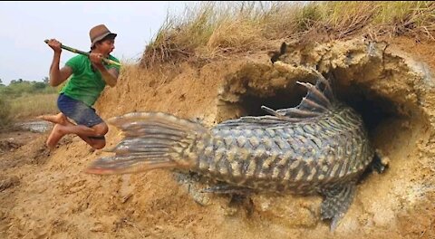 Amazing Hand Fishing Video.