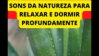 SONS DA NATUREZA PARA VOCÊ RELAXAR E DORMIR PROFUNDAMENTE🥱 😴