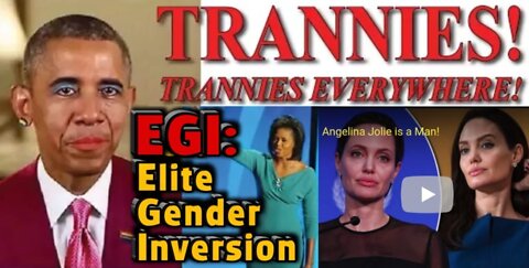 Trannies ~ Trannies EVERYWHERE!