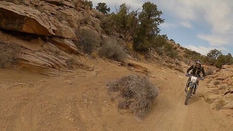 South Temple Mountain - VJ Trail to Green Trail to Red Trail!