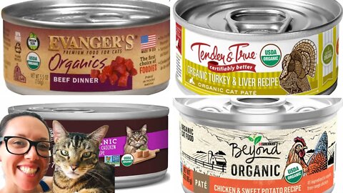 Organic wet cat food reviews - Jess Caticles