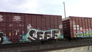 CN 8865, CN 2671 & CN 8963 Engine Manifest Train Eastbound In Ontario