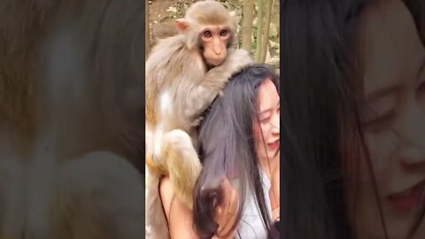 Chinese Girl Is Accosted By A Monkey