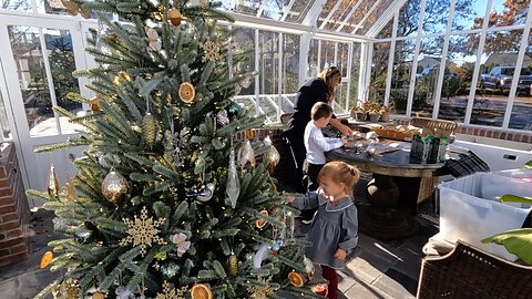 Decorating the Hartley Tree & the Kitchen Window! 🎄✨🎅