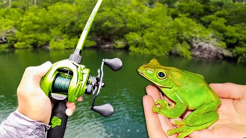 1v1 Topwater Frog ONLY Fishing Tournament!!! (INSANE)