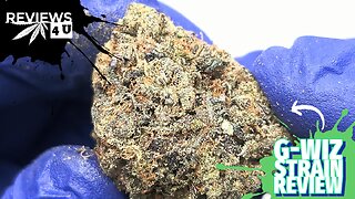 G-WIZ STRAIN REVIEW | REVIEWS 4 U