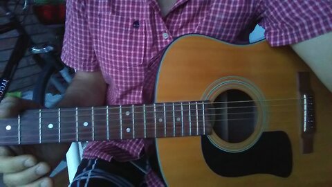 Washburn Acoustic Guitar Model D 10N Demo