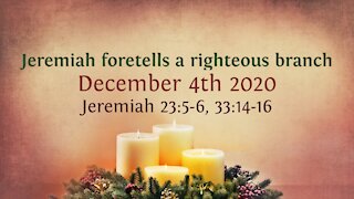 Jeremiah foretells a righteous branch - Advent Devotional