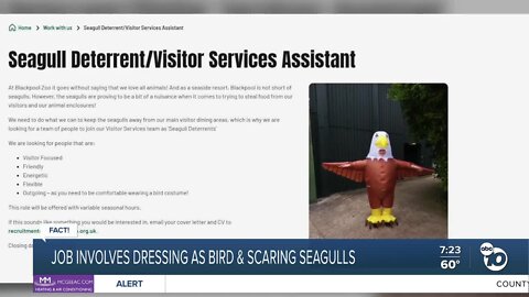 Fact or Fiction: Animal sanctuary looking for people to dress up as giant eagle?