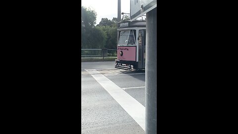 Tram in Bendigo part 2