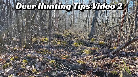 Deer Hunting Tips Video 2