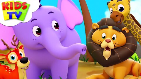 zoo song, nursery rhymes, animal