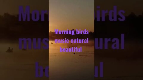 #morningmusic #birdsounds