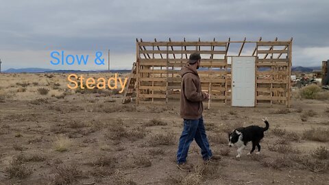 A few thoughts & a bit of progress on the Pallet Shed