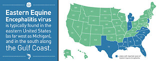 Should a rare disease have the impact that it is having in the Northeast