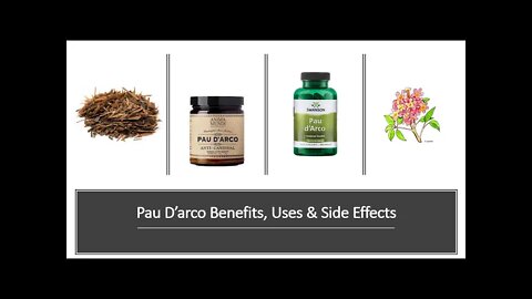 Pau D'arco Benefits, Uses & Side Effects