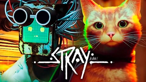 STRAY - PARTE 4: A ARMA DE DOC E O EMOCIONANTE REENCONTRO!