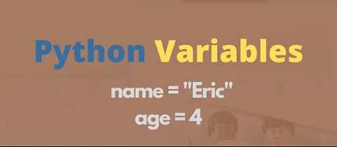 Storing Data using Variables in Python