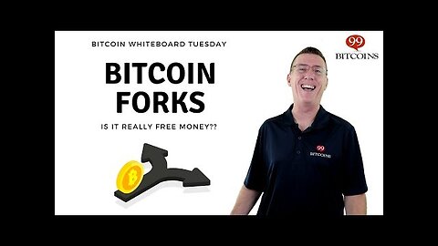 What are Bitcoin Forks_ A Simple Explanation