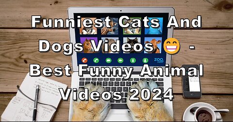 Funniest Cats And Dogs Videos 😁 - Best Funny Animal Videos 2024