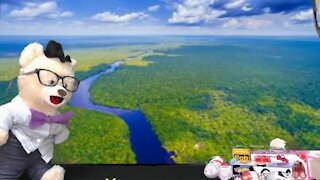 Learn about Rainforests with Chumsky Bear | Earth Science | Educational Videos for Kids