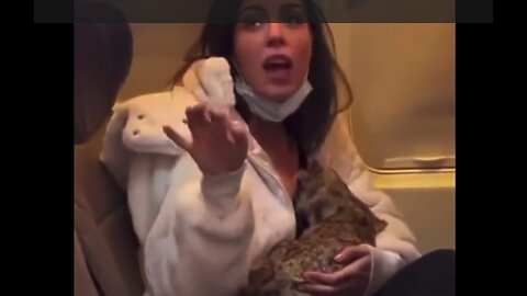 Very Normal Liberal, Leftist Woman Breastfeeds Stuffed Lynx on Airplane