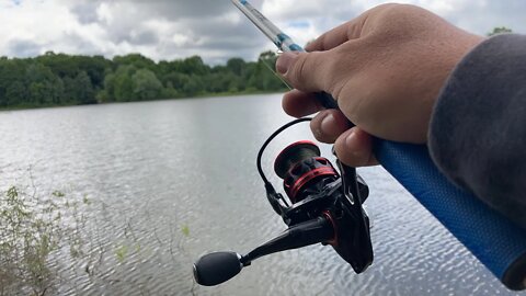 Crappie fishing live