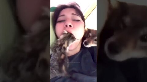 Cat in the mouth- Fails 😂😂😂 #shortsfails #shortvideo #failsvideo