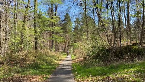 18 avril 2022 - Balade en forêt avec Matthieu (1)