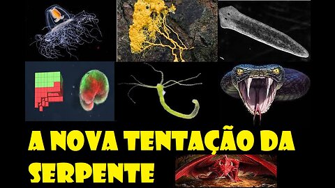 Criaturas sintéticas "imortais" I A nova tentação da antiga 🐍🐉👹