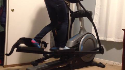 A Cat Sits On A Foot Pedal While A Girl Works Out On An Elliptical