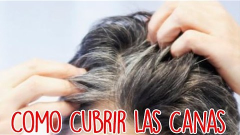 Como Cubrir Las Canas