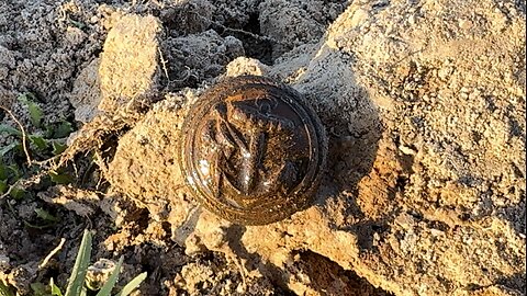 Anchors Away On The Goldfields