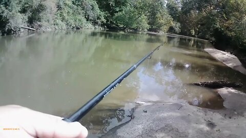 Fishing adventure 10/15/23: I got skunked today