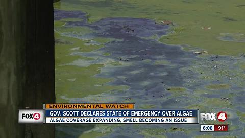 Gov. declares State of Emergency as algae expands